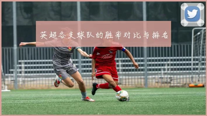 英超各支球队的胜率对比与排名