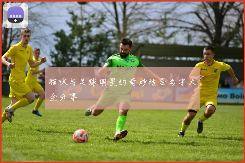 猫咪与足球明星的奇妙结合名字大全分享