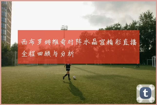 西布罗姆维奇对阵水晶宫精彩直播全程回顾与分析