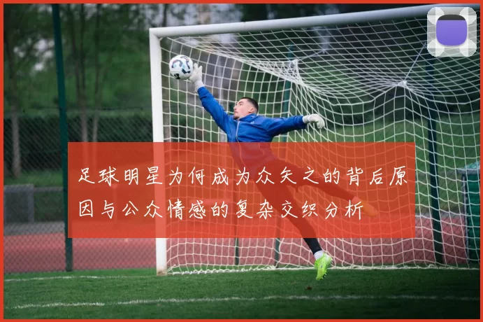 足球明星为何成为众矢之的背后原因与公众情感的复杂交织分析
