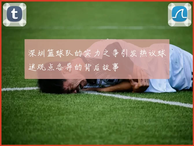 深圳篮球队的实力之争引发热议球迷观点各异的背后故事