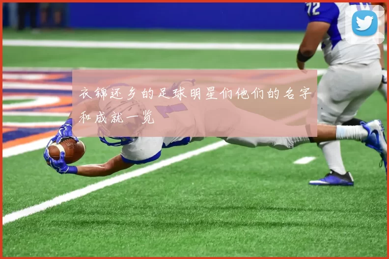 衣锦还乡的足球明星们他们的名字和成就一览