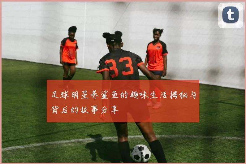 足球明星养鲨鱼的趣味生活揭秘与背后的故事分享
