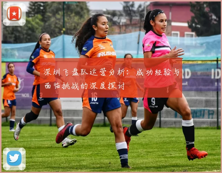 深圳飞盘队运营分析：成功经验与面临挑战的深度探讨