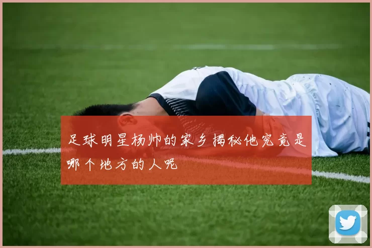足球明星杨帅的家乡揭秘他究竟是哪个地方的人呢