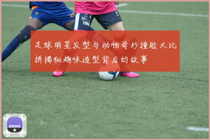 足球明星发型与动物奇妙撞脸大比拼揭秘趣味造型背后的故事