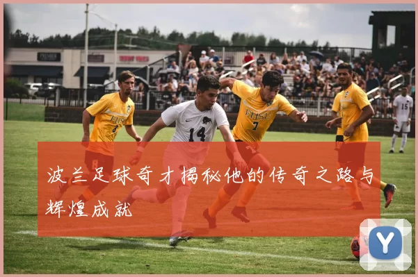 波兰足球奇才揭秘他的传奇之路与辉煌成就