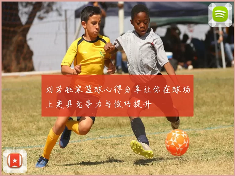 刘芳独家篮球心得分享让你在球场上更具竞争力与技巧提升