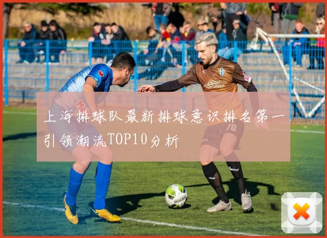 上海排球队最新排球意识排名第一引领潮流TOP10分析