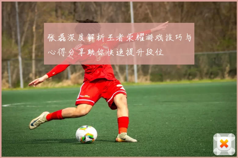 张磊深度解析王者荣耀游戏技巧与心得分享助你快速提升段位
