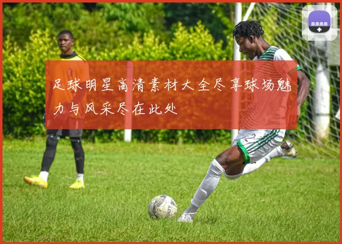 足球明星高清素材大全尽享球场魅力与风采尽在此处