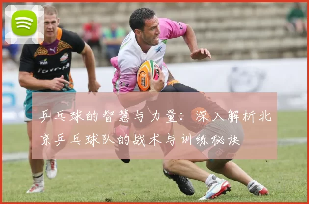 乒乓球的智慧与力量：深入解析北京乒乓球队的战术与训练秘诀