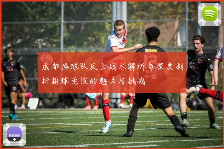 成都排球队反击战术解析与深度剖析排球竞技的魅力与挑战