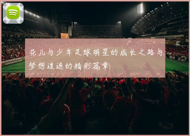 花儿与少年足球明星的成长之路与梦想追逐的精彩篇章