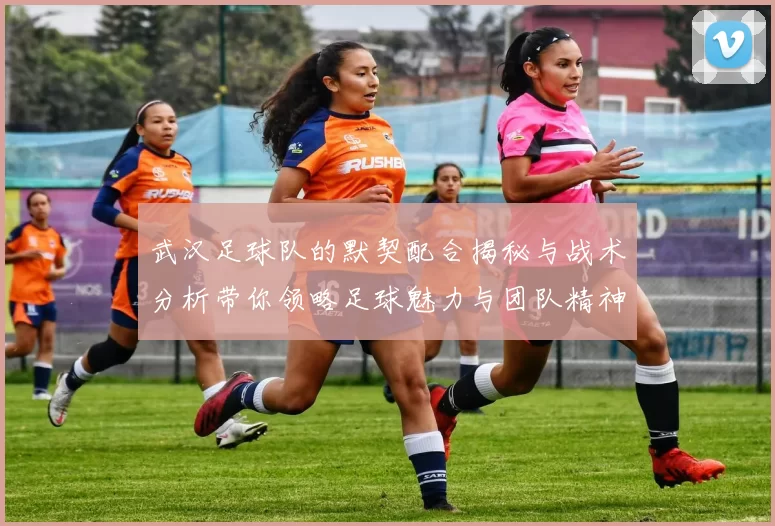武汉足球队的默契配合揭秘与战术分析带你领略足球魅力与团队精神