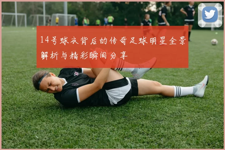 14号球衣背后的传奇足球明星全景解析与精彩瞬间分享