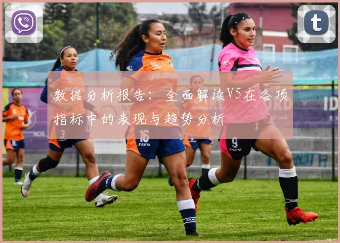 数据分析报告：全面解读V5在各项指标中的表现与趋势分析