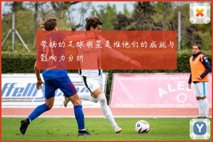 带杨的足球明星是谁他们的成就与影响力分析