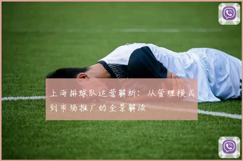 上海排球队运营解析：从管理模式到市场推广的全景解读