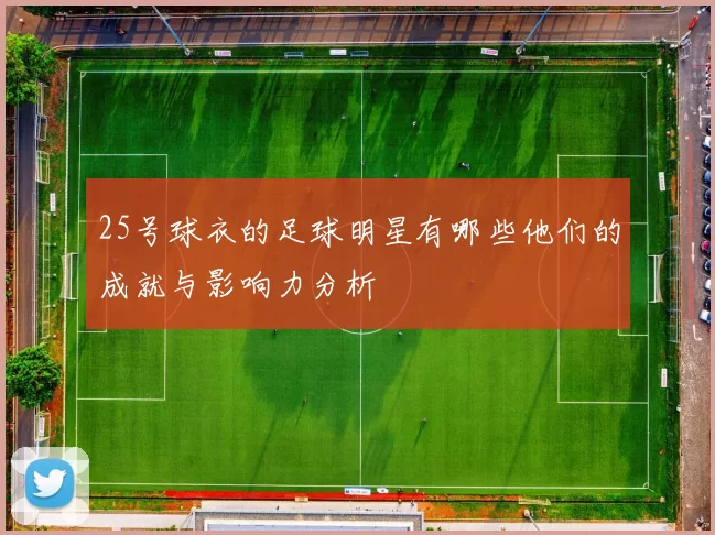 25号球衣的足球明星有哪些他们的成就与影响力分析