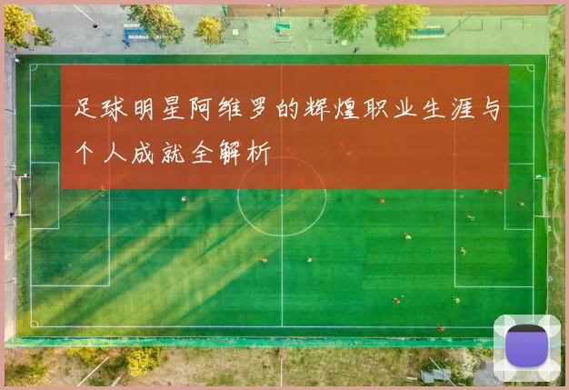 足球明星阿维罗的辉煌职业生涯与个人成就全解析